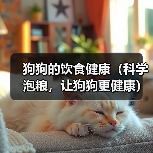 狗狗的饮食健康(科学泡粮,让狗狗更健康)(图1) 狗狗的饮食健康(科学泡粮,让狗狗更健康)(图1)
