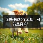 狗狗有这6个表现，可能是真笨！（图2）