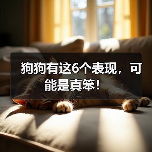 狗狗有这6个表现，可能是真笨！（图1）
