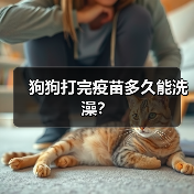 狗狗打完疫苗多久能洗澡？（图4）