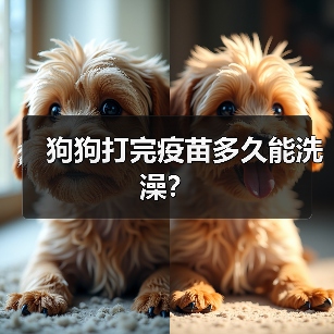 狗狗打完疫苗多久能洗澡？（图1）