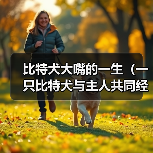 比特犬大嘴的一生（一只比特犬与主人共同经历的人生故事）（图3）
