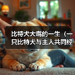 比特犬大嘴的一生（一只比特犬与主人共同经历的人生故事）（图2）