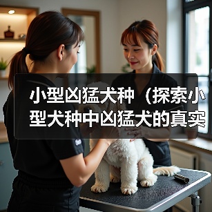 小型凶猛犬种（探索小型犬种中凶猛犬的真实本性与适应环境的方法）（图2）