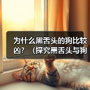 为什么黑舌头的狗比较凶?(探究黑舌头与狗犬性格的关系)(图2) 为什么黑舌头的狗比较凶?(探究黑舌头与狗犬性格的关系)(图2)