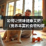 如何让猫咪健康又肥？（营养丰富的食物和健康猫粮的选择）（图4）