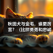 秋田犬与金毛,谁更厉害?(比拼英勇和忠诚,揭秘最优秀的犬种)(图2) 秋田犬与金毛,谁更厉害?(比拼英勇和忠诚,揭秘最优秀的犬种)(图2)