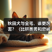 秋田犬与金毛,谁更厉害?(比拼英勇和忠诚,揭秘最优秀的犬种)(图4) 秋田犬与金毛,谁更厉害?(比拼英勇和忠诚,揭秘最优秀的犬种)(图4)