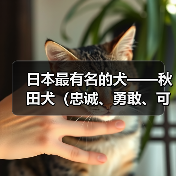 日本最有名的犬——秋田犬（忠诚、勇敢、可爱——秋田犬的魅力）（图3）