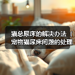 猫总尿床的解决办法(宠物猫尿床问题的处理方法)(图1) 猫总尿床的解决办法(宠物猫尿床问题的处理方法)(图1)