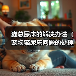 猫总尿床的解决办法(宠物猫尿床问题的处理方法)(图2) 猫总尿床的解决办法(宠物猫尿床问题的处理方法)(图2)