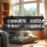 小猫掉厕所，如何防患于未然？（小猫厕所安全防护措施详解）（图1）