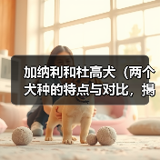 加纳利和杜高犬（两个犬种的特点与对比，揭示真正的“猛兽”）（图1）