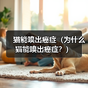 猫能嗅出癌症（为什么猫能嗅出癌症？）（图3）
