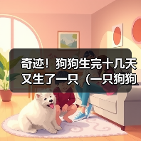 奇迹！狗狗生完十几天又生了一只（一只狗狗的惊人繁殖能力及其关键因素探析）（图1）