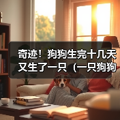 奇迹！狗狗生完十几天又生了一只（一只狗狗的惊人繁殖能力及其关键因素探析）（图4）