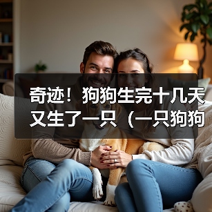 奇迹！狗狗生完十几天又生了一只（一只狗狗的惊人繁殖能力及其关键因素探析）（图3）
