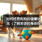如何检查狗狗的健康状况（了解关键的身体指标，确保狗狗的健康）（图1）