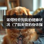 如何检查狗狗的健康状况（了解关键的身体指标，确保狗狗的健康）（图4）