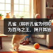 孔雀（解析孔雀为何称为百鸟之王，揭开其独特之处与魅力）（图1）