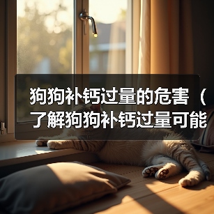 狗狗补钙过量的危害（了解狗狗补钙过量可能引发的问题和预防措施）（图2）