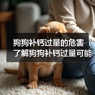 狗狗补钙过量的危害（了解狗狗补钙过量可能引发的问题和预防措施）（图4）