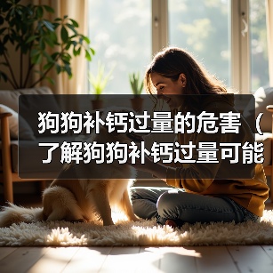 狗狗补钙过量的危害（了解狗狗补钙过量可能引发的问题和预防措施）（图1）