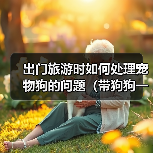 出门旅游时如何处理宠物狗的问题（带狗狗一起旅行，轻松解决困扰）（图3）