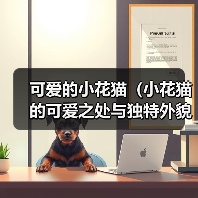 可爱的小花猫（小花猫的可爱之处与独特外貌）（图4）