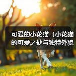 可爱的小花猫（小花猫的可爱之处与独特外貌）（图1）