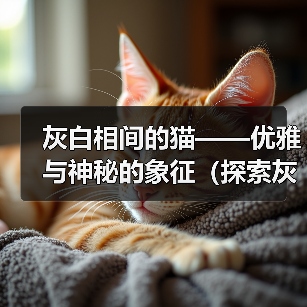 灰白相间的猫——优雅与神秘的象征(探索灰白猫的独特之美)(图4) 灰白相间的猫——优雅与神秘的象征(探索灰白猫的独特之美)(图4)