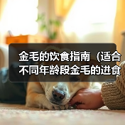 金毛的饮食指南(适合不同年龄段金毛的进食方式)(图2) 金毛的饮食指南(适合不同年龄段金毛的进食方式)(图2)