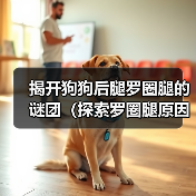 揭开狗狗后腿罗圈腿的谜团（探索罗圈腿原因和治疗方法）（图3）