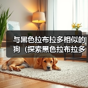 与黑色拉布拉多相似的狗(探索黑色拉布拉多近似品种的外貌、性格和训练特点)(图1) 与黑色拉布拉多相似的狗(探索黑色拉布拉多近似品种的外貌、性格和训练特点)(图1)