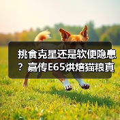 挑食克星还是软便隐患?嘉传E65烘焙猫粮真实测评(图2) 挑食克星还是软便隐患?嘉传E65烘焙猫粮真实测评(图2)