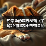 热带鱼的喂养秘籍（了解如何喂养小热带鱼的重要技巧）（图4）
