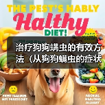 治疗狗狗螨虫的有效方法（从狗狗螨虫的症状到康复，一步步为你解析）（图2）