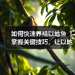 如何快速养殖以地鱼(掌握关键技巧,让以地鱼长得飞快)(图2) 如何快速养殖以地鱼(掌握关键技巧,让以地鱼长得飞快)(图2)