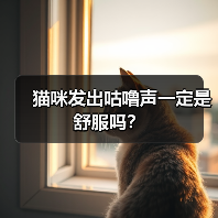 猫咪发出咕噜声一定是舒服吗？（图2）