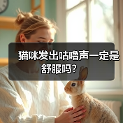猫咪发出咕噜声一定是舒服吗？（图4）