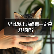 猫咪发出咕噜声一定是舒服吗？（图3）