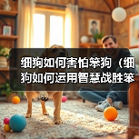细狗如何害怕笨狗(细狗如何运用智慧战胜笨狗)(图3) 细狗如何害怕笨狗(细狗如何运用智慧战胜笨狗)(图3)