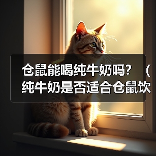 仓鼠能喝纯牛奶吗？（纯牛奶是否适合仓鼠饮用，以及如何合理喂养）（图2）