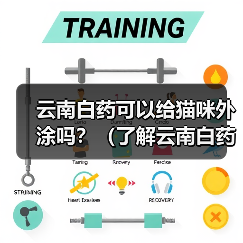 云南白药可以给猫咪外涂吗?(了解云南白药的使用方法和注意事项,保护猫咪的健康)(图2) 云南白药可以给猫咪外涂吗?(了解云南白药的使用方法和注意事项,保护猫咪的健康)(图2)