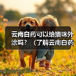 云南白药可以给猫咪外涂吗?(了解云南白药的使用方法和注意事项,保护猫咪的健康)(图4) 云南白药可以给猫咪外涂吗?(了解云南白药的使用方法和注意事项,保护猫咪的健康)(图4)