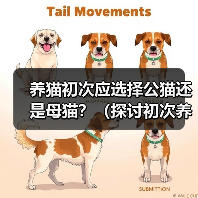 养猫初次应选择公猫还是母猫？（探讨初次养猫时选择公猫或母猫的利与弊）（图4）