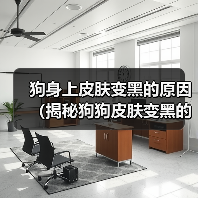 狗身上皮肤变黑的原因(揭秘狗狗皮肤变黑的5大原因)(图3) 狗身上皮肤变黑的原因(揭秘狗狗皮肤变黑的5大原因)(图3)
