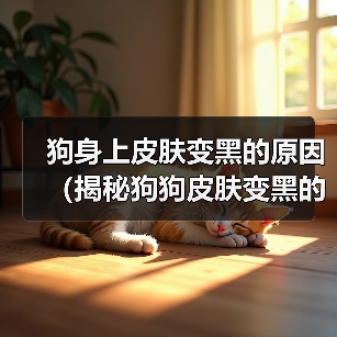 狗身上皮肤变黑的原因(揭秘狗狗皮肤变黑的5大原因)(图4) 狗身上皮肤变黑的原因(揭秘狗狗皮肤变黑的5大原因)(图4)
