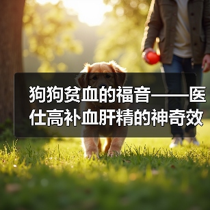 狗狗贫血的福音——医仕高补血肝精的神奇效果（专家推荐，让狗狗重获健康！）（图3）