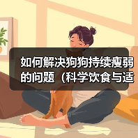 如何解决狗狗持续瘦弱的问题（科学饮食与适当锻炼是关键）（图1）
